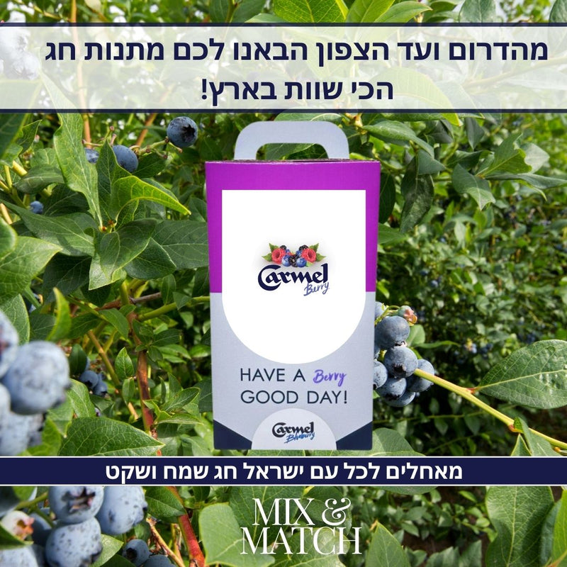 מארז סוכות פירות כרמל ברי - מדרום לצפון