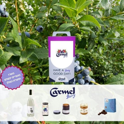 Rosh Hashanah gift box - (Dry Products)