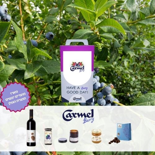 Rosh Hashanah gift box - (Dry Products)